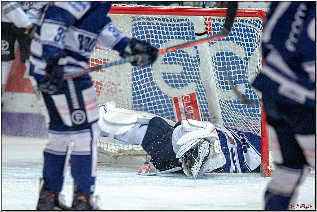 DEL; Iserlohn Roosters - Koelner Haie, 23.11.2018
